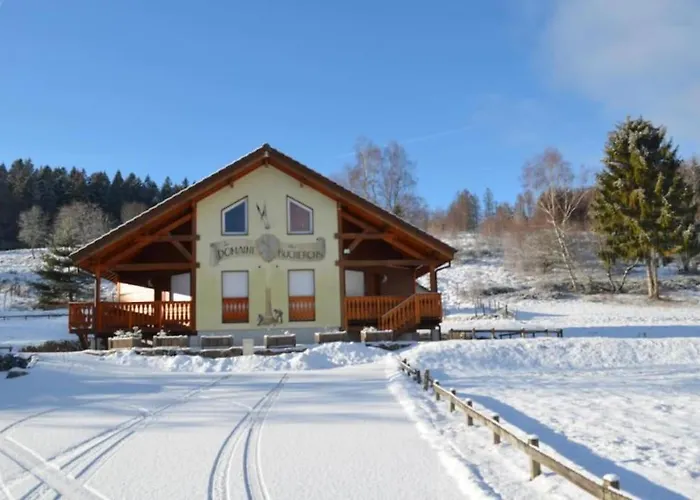 Chalet Le Du Bucheron Gérardmer